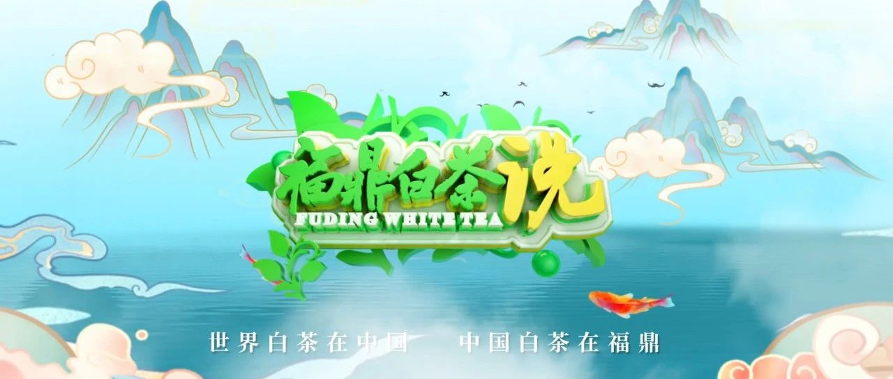 《福鼎白茶說》—— 福鼎白茶大數據溯源來了