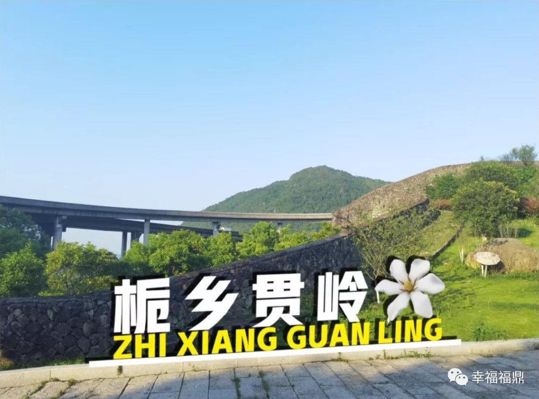 嗨！福鼎市花喊你參加這場嘉年華