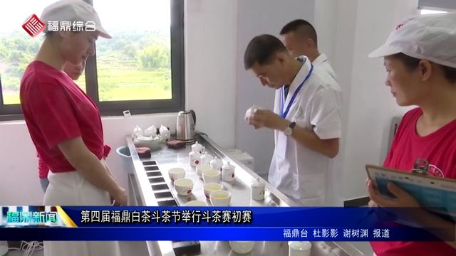 第四屆福鼎白茶斗茶節舉行斗茶賽初賽