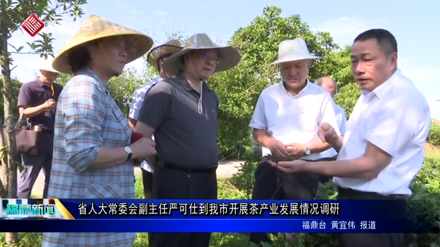省人大常委會副主任嚴可仕到我市開展茶產業發展情況調硏