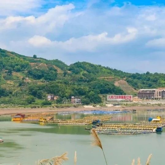嗨，你去過白巖村嗎？這里正打造美食旅游特色村！