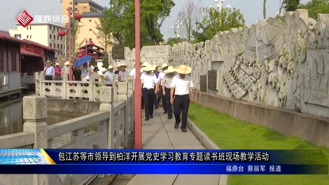 包江蘇等市領導到柏洋開展黨史學習教育專題讀書班現場教學活動