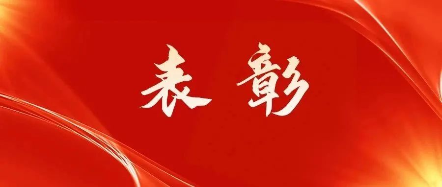 福鼎市“兩優一先”擬表彰對象公示！