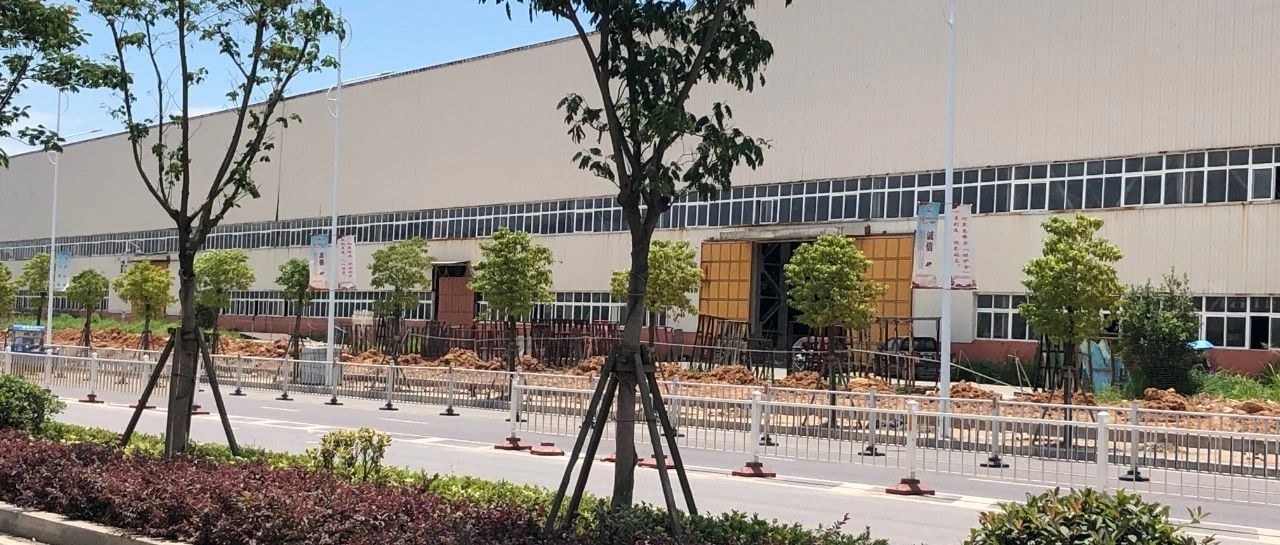 拆墻透綠！這些圍墻內的“秘密花園”露面了