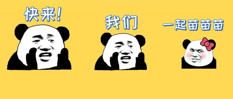 接種疫苗無障礙！福鼎為特殊人群開辟綠色通道