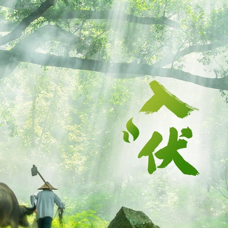 熱?熱?熱?，前方高溫預警！