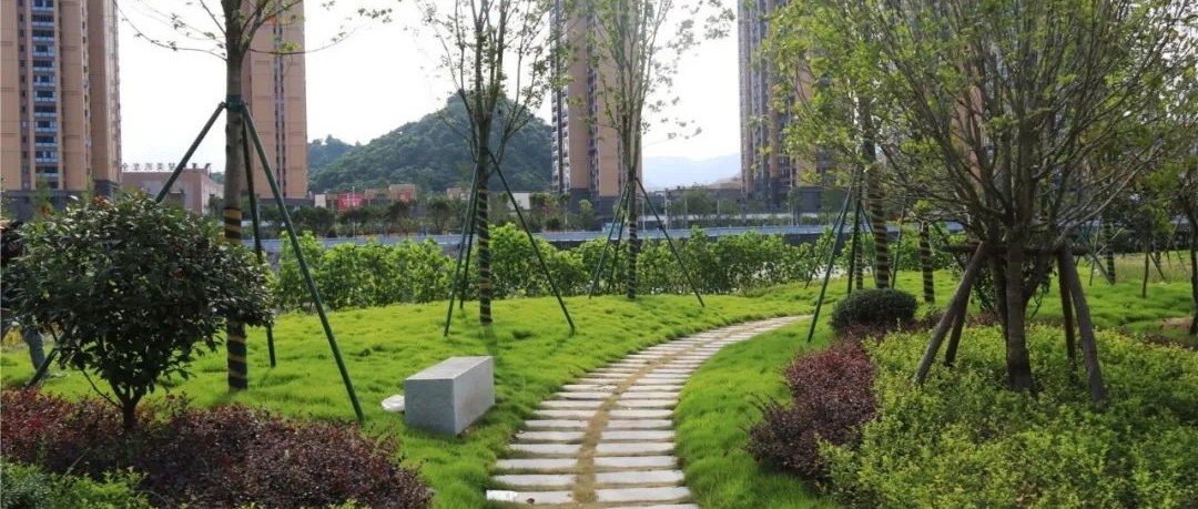美！福鼎又有9處口袋公園上新，它們在→