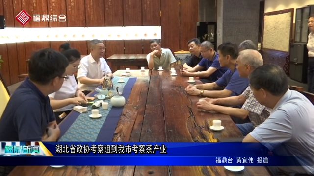湖北省政協考察組到我市考察茶產業