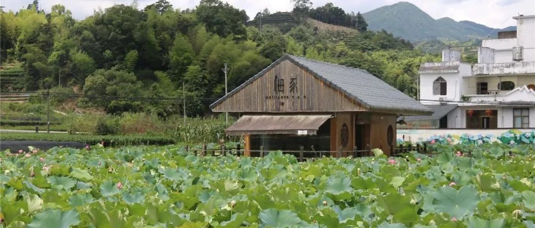 跟我走吧，天亮就出發！柏柳村打卡get√