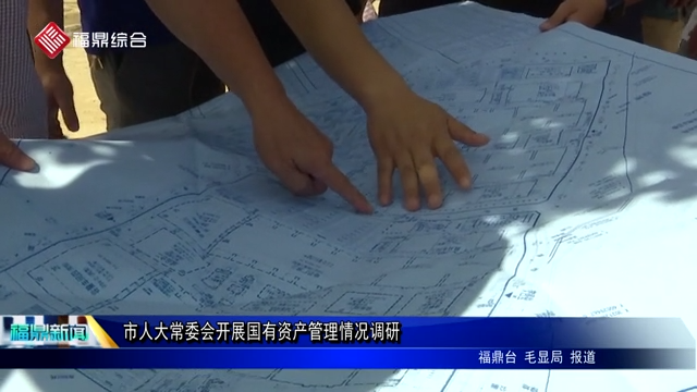 市人大常委會開展國有資產管理情況調研