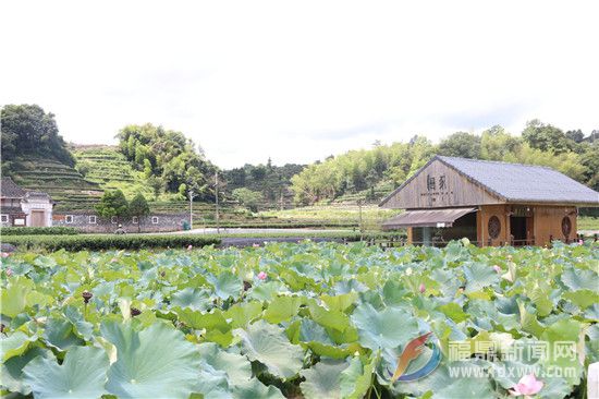 柏柳村：美麗庭院點“靚”鄉村幸福生活