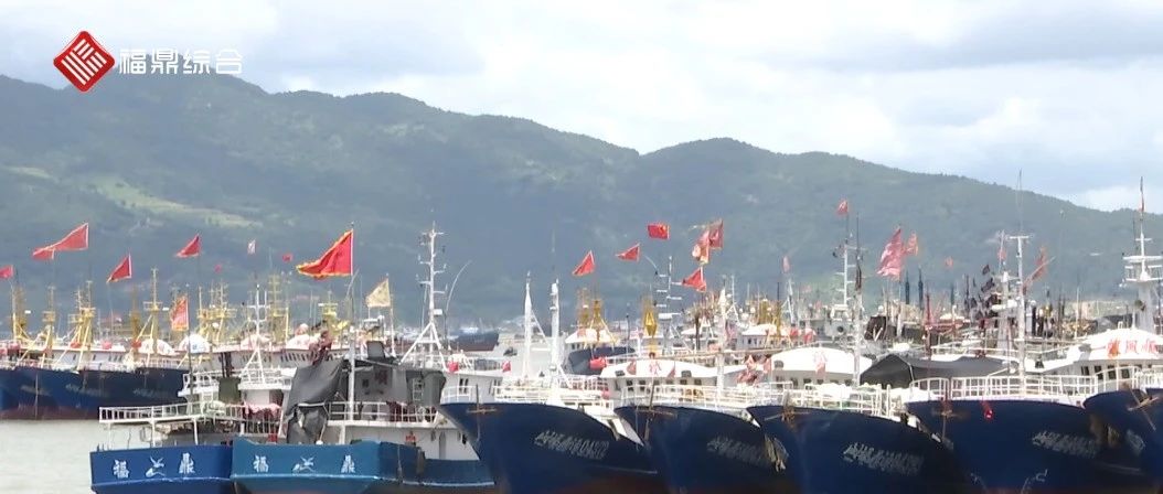 臺風“煙花”逼近，福鼎海上防臺模式已啟動！