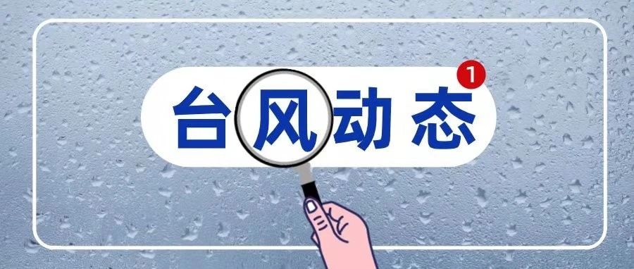 臺風“煙花”逼近，福鼎筑牢“防護結界”