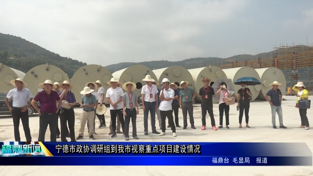 寧德市政協調研組到我市視察重點項目建設情況