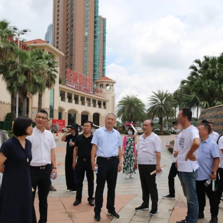 福鼎白茶走進省城，多方位合作助力品牌提升