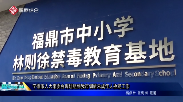 寧德市人大常委會調研組到我市調研未成年人檢察工作