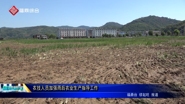 農技人員加強雨后農業生產指導工作