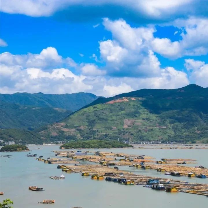 海風習習，選個涼爽的日子去西澳村吧