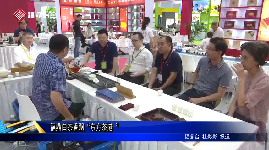 福鼎白茶香飄“東方茶港 ”