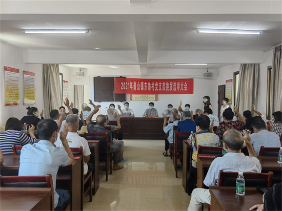 開門紅 崳山鎮圓滿完成試點村黨支部換屆選舉工作