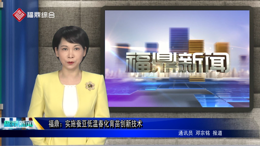 福鼎：實施蠶豆低溫春化育苗創新技術