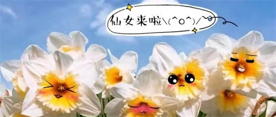 不裝蒜，這一次亮出我的綠色家底！