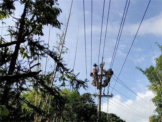 市供電公司：線路綜合整治 為鄉村振興“充電賦能”