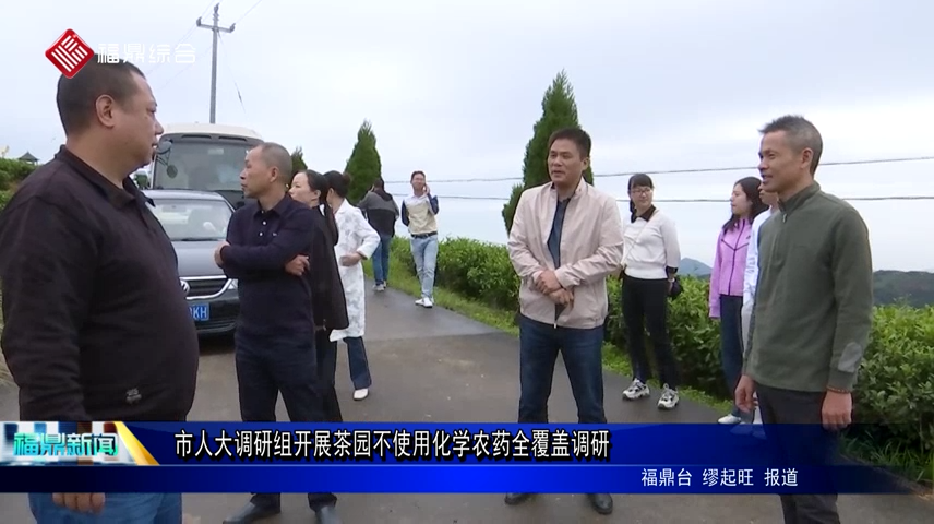 市人大調研組開展茶園不使用化學農藥全覆蓋調研