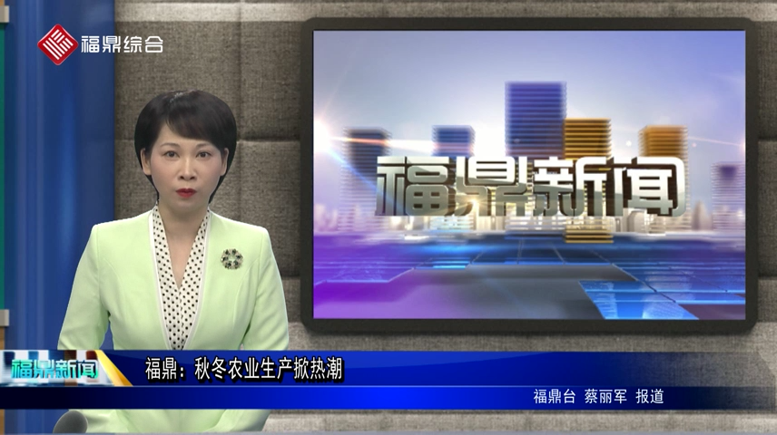 福鼎：秋冬農業生產掀熱潮