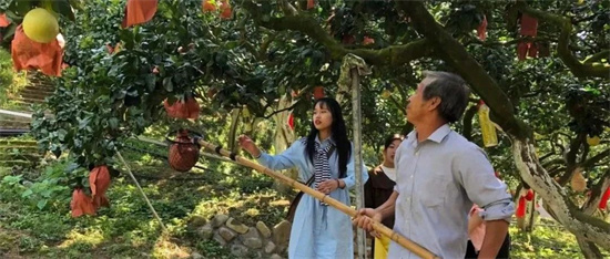 “柚惑”來襲，福鼎吃貨們hold得住嗎？