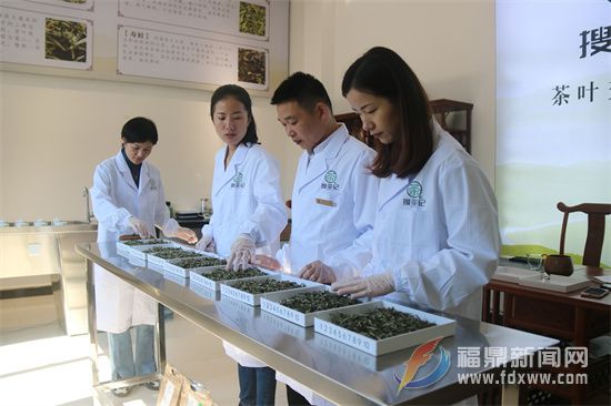 打通交易壁壘 推動茶產業健康發展