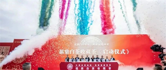 桐山溪畔這場活動，“收藏了”！