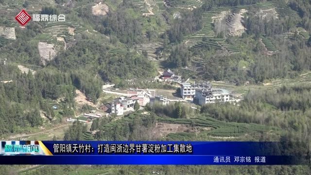 管陽鎮天竹村：打造閩浙邊界甘薯淀粉加工集散地