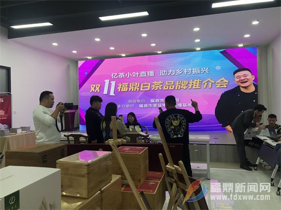 福鼎白茶產業步入“直播+”時代