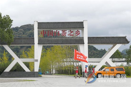 市供電公司：一片小綠葉 撬動“衣食萬戶”大產業