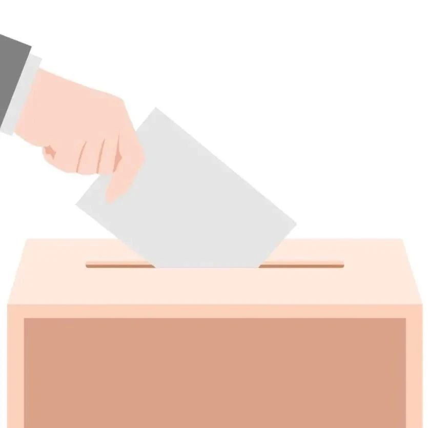 @全市選民，11月30日，請投出你莊嚴神圣的一票！
