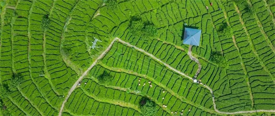 100秒一鏡到底！看福建這五年之生態