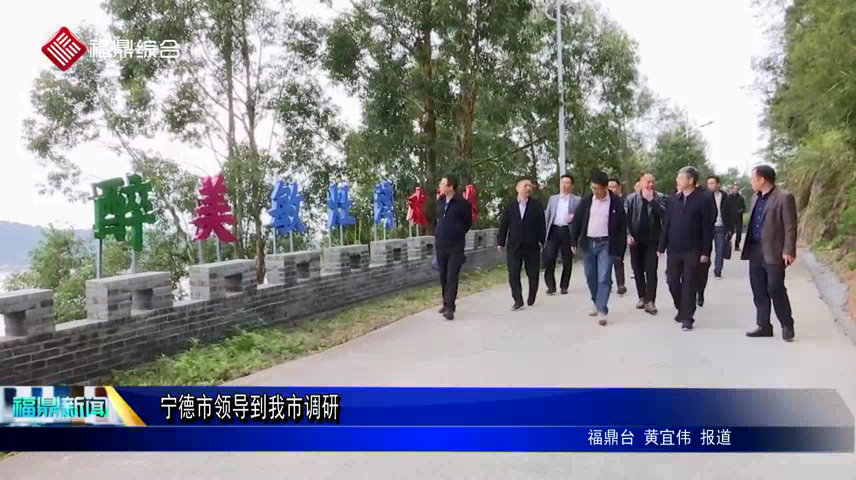 寧德市領導到我市調研