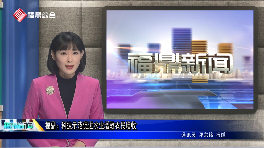 福鼎：科技示范促進農業增效農民增收