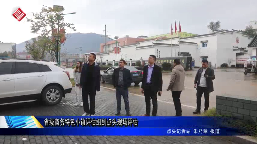 省級商務特色小鎮評估組到點頭現場評估