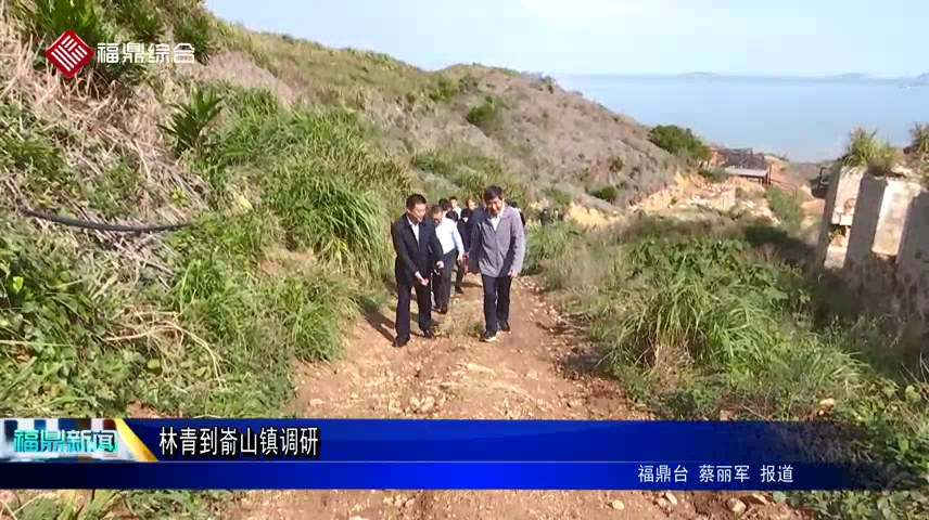 林青到崳山鎮調研