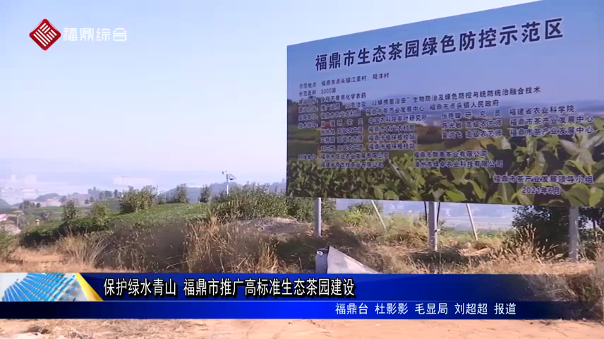 保護綠水青山 福鼎市推廣高標準生態茶園建設