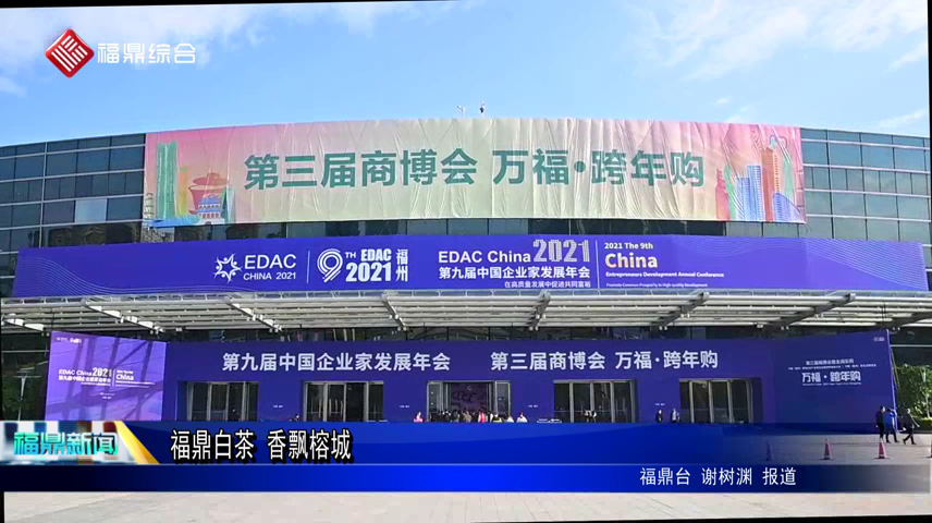 福鼎白茶??香飄榕城