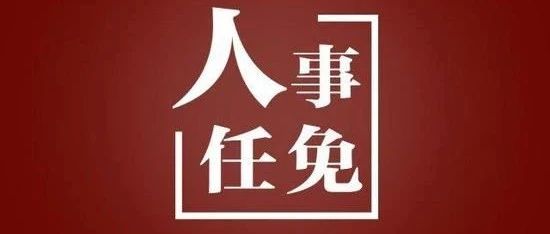 最新！福鼎發布一則人事任職通知