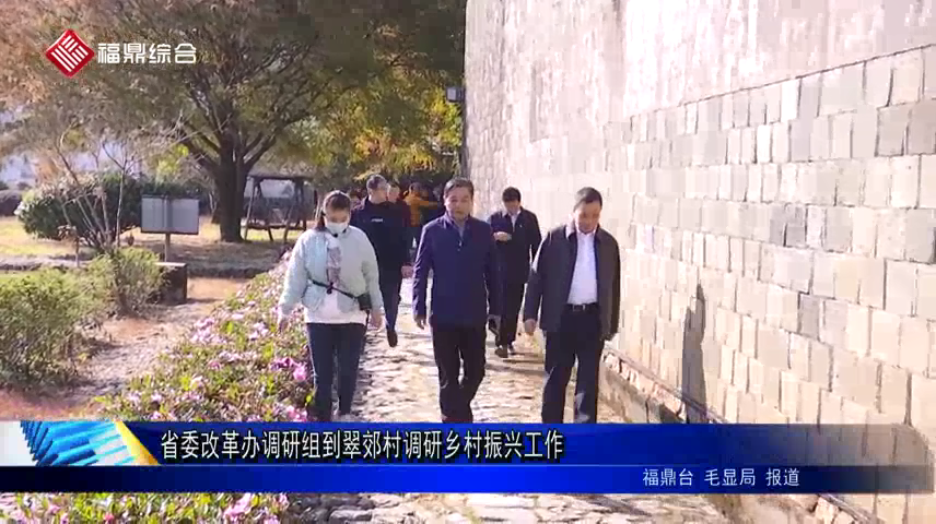 省委改革辦調研組到翠郊村調研鄉村振興工作