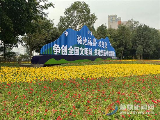 美！18萬盆鮮花扮靚福鼎城市