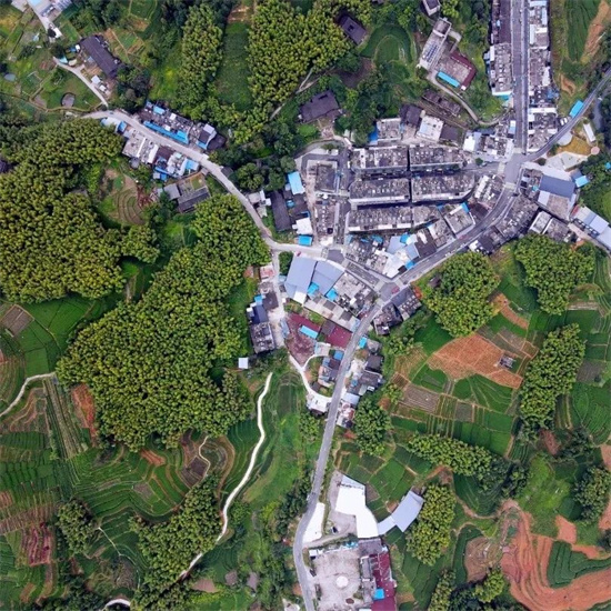 福建鄉村振興重點特色鄉（鎮）、實績突出村公示！福鼎1鎮2村上榜！