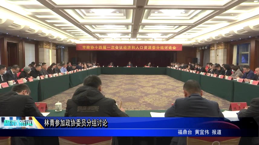 林青參加政協委員分組討論