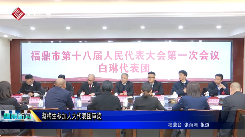 蔡梅生參加人大代表團審議
