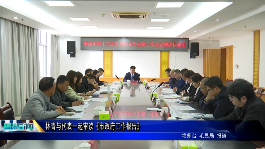 林青與磻溪代表團代表審議《政府工作報告》